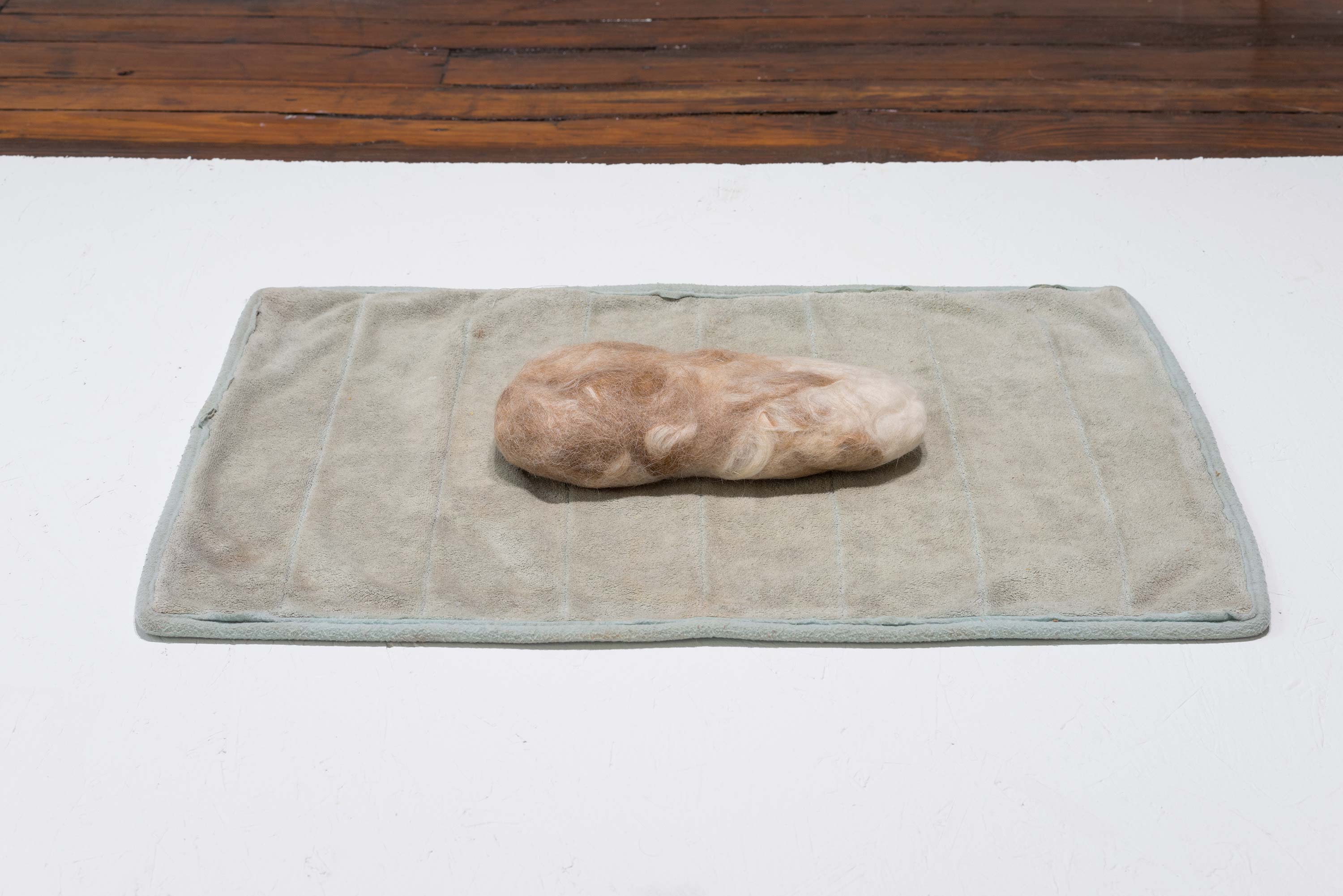 Kylie Lockwood<br>Untitled<br>2015<br>Dog hair and rug<br>2.5 x 24 x 16.75 inches (6.4 x 61 x 42.5 cm)